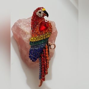Parrot bird brooch rhinestones sparkly pin Big tropical rainforest New Colorful